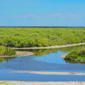 Lake Okeechobee